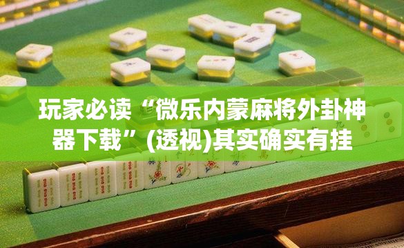 玩家必读“微乐内蒙麻将外卦神器下载”(透视)其实确实有挂
