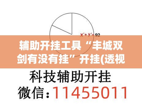 辅助开挂工具“丰城双剑有没有挂”开挂(透视)辅助教程