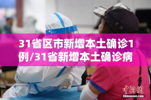 31省区市新增本土确诊1例/31省新增本土确诊病例1例