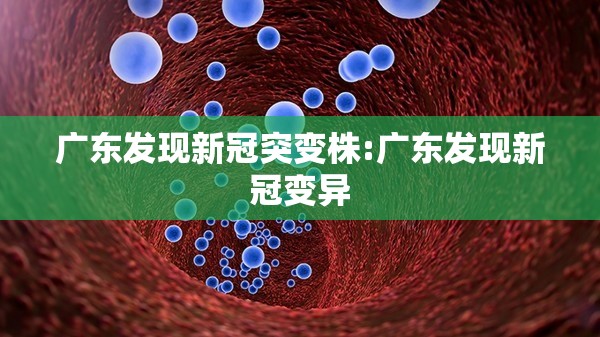 广东发现新冠突变株:广东发现新冠变异 广东发现新冠突变株:广东发现新冠变异