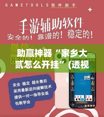 助赢神器“家乡大贰怎么开挂”(透视挂)辅助下载教程