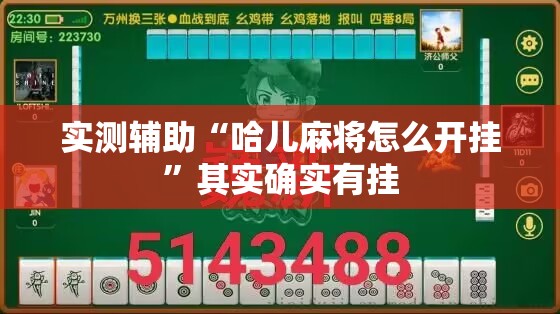 实测辅助“哈儿麻将怎么开挂”其实确实有挂