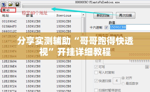 分享实测辅助“哥哥跑得快透视”开挂详细教程