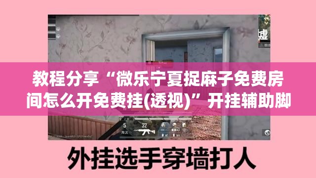 教程分享“微乐宁夏捉麻子免费房间怎么开免费挂(透视)”开挂辅助脚本+详细开挂安装教程