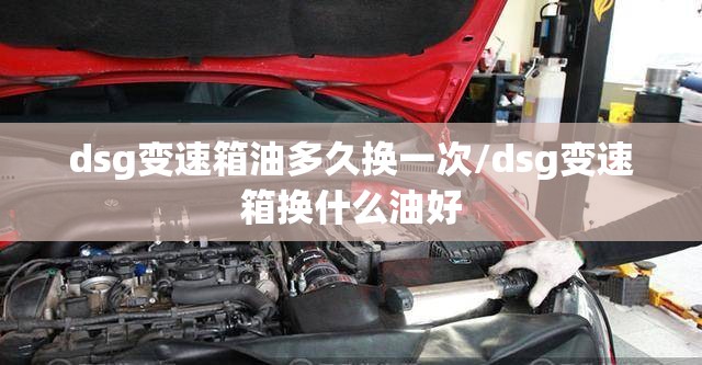 dsg变速箱油多久换一次/dsg变速箱换什么油好 dsg变速箱油多久换一次/dsg变速箱换什么油好