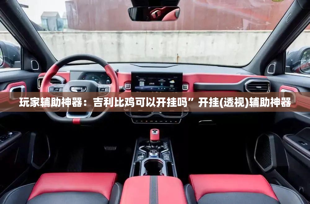 玩家辅助神器：吉利比鸡可以开挂吗	”开挂(透视)辅助神器