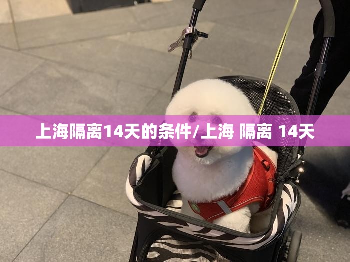 上海隔离14天的条件/上海 隔离 14天 上海隔离14天的条件/上海 隔离 14天
