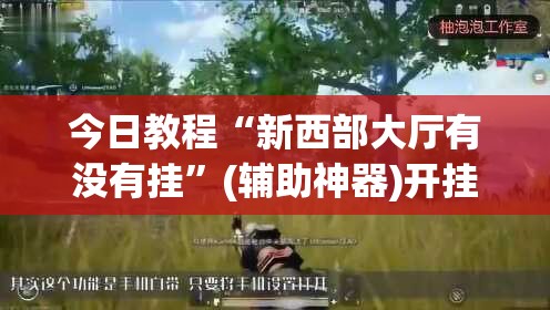 今日教程“新西部大厅有没有挂	”(辅助神器)开挂详细教程