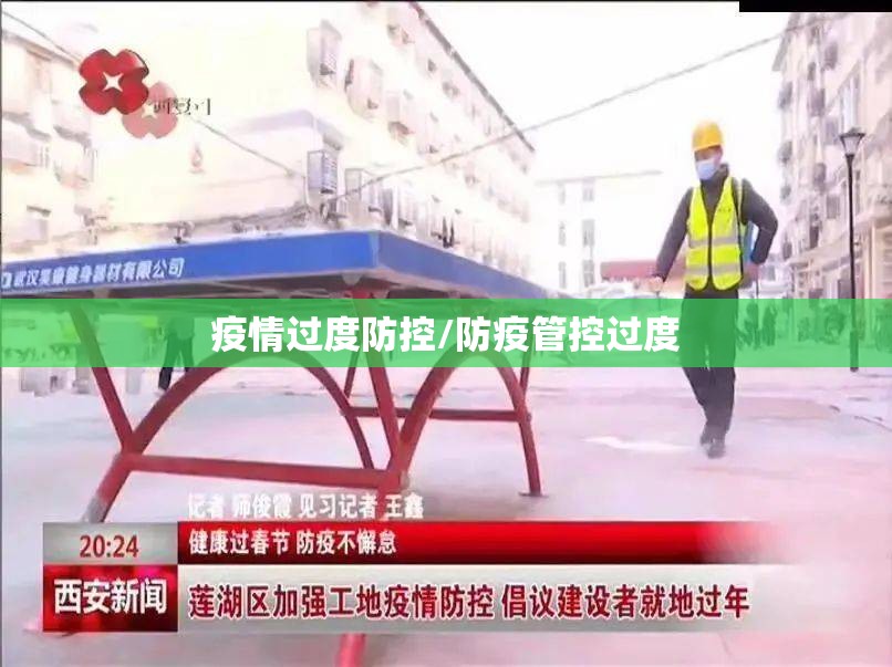 疫情过度防控/防疫管控过度
