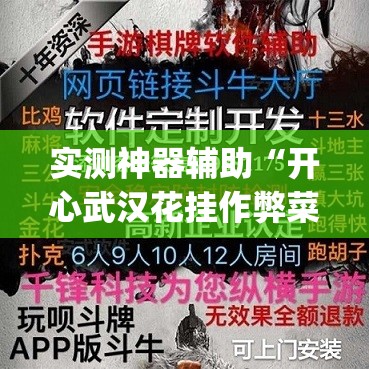 实测神器辅助“开心武汉花挂作弊菜单”(透视)其实确实有挂