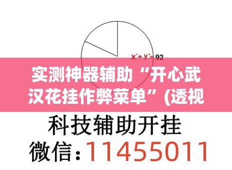 实测神器辅助“开心武汉花挂作弊菜单	”(透视)其实确实有挂