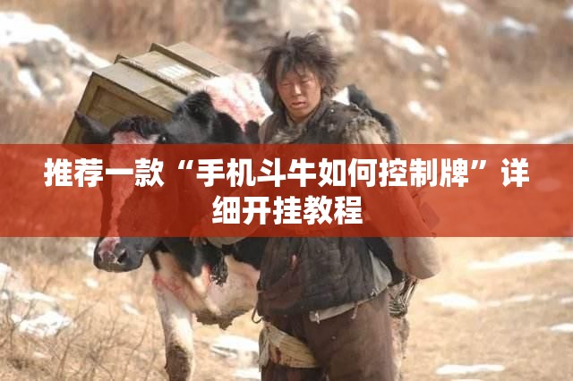 推荐一款“手机斗牛如何控制牌”详细开挂教程