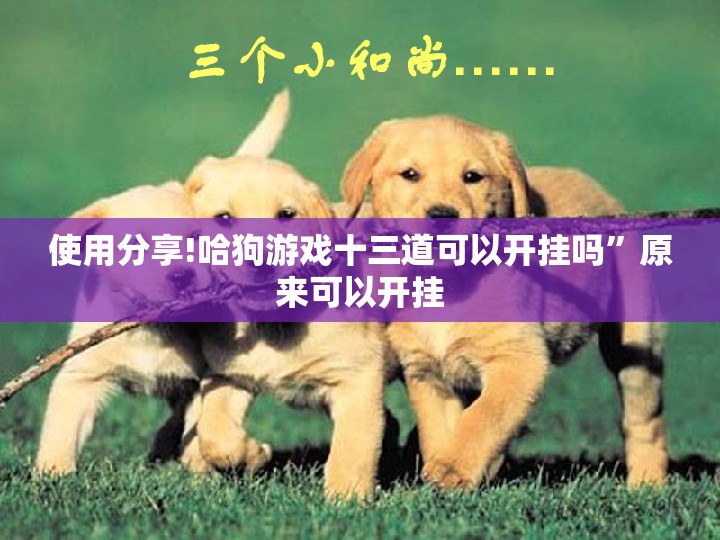 使用分享!哈狗游戏十三道可以开挂吗”原来可以开挂