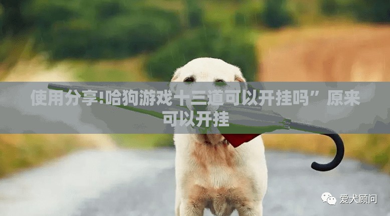 使用分享!哈狗游戏十三道可以开挂吗	”原来可以开挂