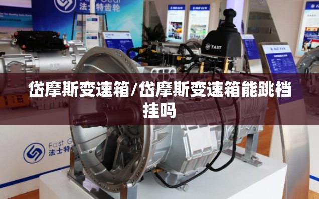 岱摩斯变速箱/岱摩斯变速箱能跳档挂吗 岱摩斯变速箱/岱摩斯变速箱能跳档挂吗