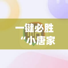 一键必胜“小唐家乐园辅助器”(免费)开挂辅助教学(最新辅助开挂教程)