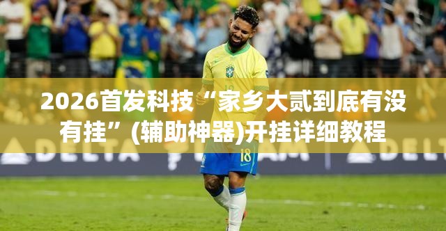 2026首发科技“家乡大贰到底有没有挂”(辅助神器)开挂详细教程