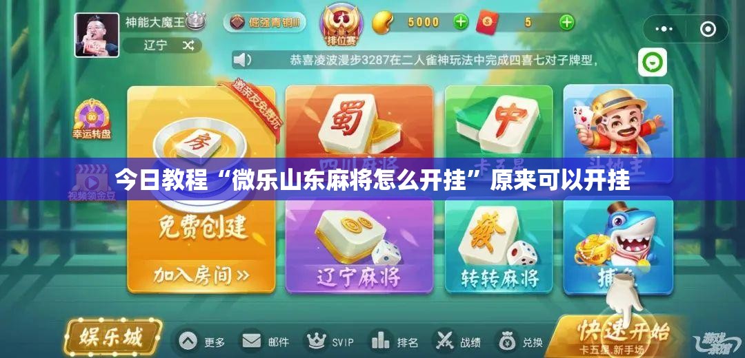 今日教程“微乐山东麻将怎么开挂”原来可以开挂