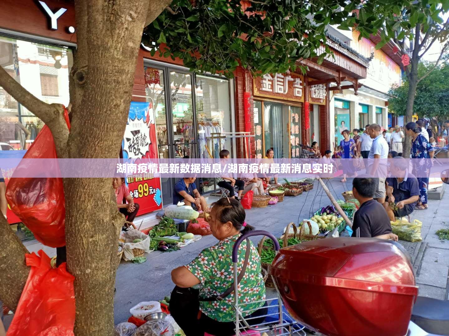 湖南疫情最新数据消息/湖南疫情最新消息实时 湖南疫情最新数据消息/湖南疫情最新消息实时