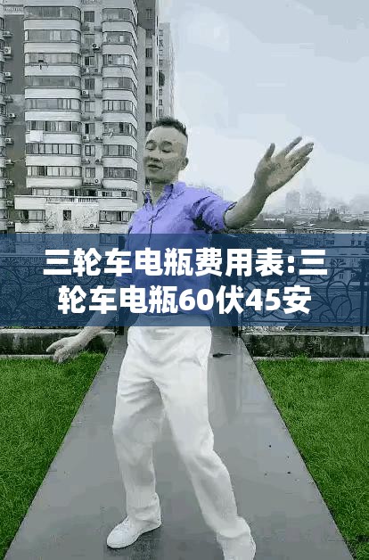 三轮车电瓶费用表:三轮车电瓶60伏45安费用表 三轮车电瓶费用表:三轮车电瓶60伏45安费用表