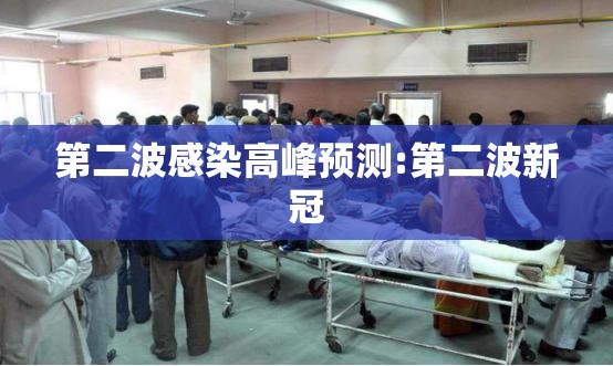 第二波感染高峰预测:第二波新冠 第二波感染高峰预测:第二波新冠