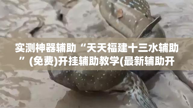 实测神器辅助“天天福建十三水辅助	”(免费)开挂辅助教学(最新辅助开挂教程)