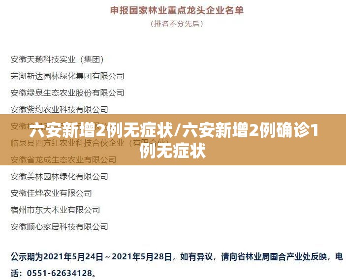 六安新增2例无症状/六安新增2例确诊1例无症状 六安新增2例无症状/六安新增2例确诊1例无症状