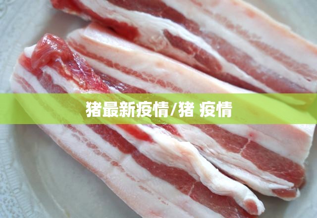 猪最新疫情/猪 疫情 猪最新疫情/猪 疫情