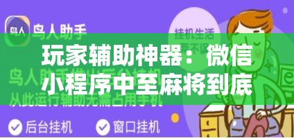 玩家辅助神器：微信小程序中至麻将到底有没有挂”科技辅助神器手机版