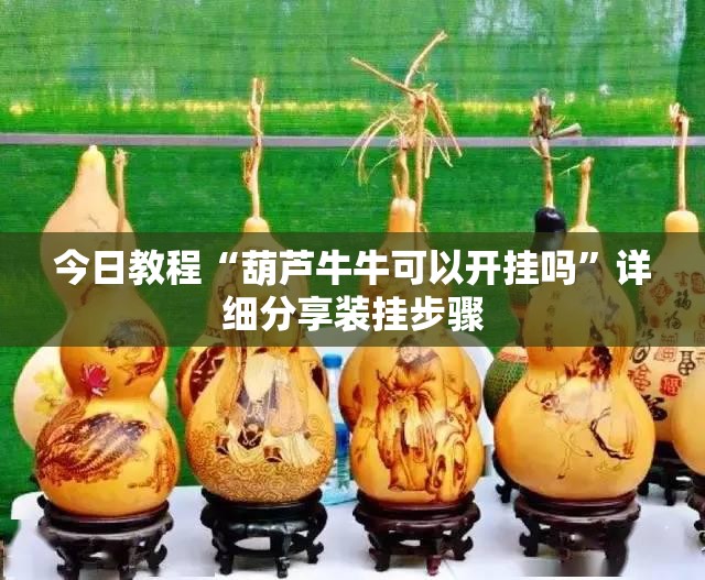 今日教程“葫芦牛牛可以开挂吗	”详细分享装挂步骤