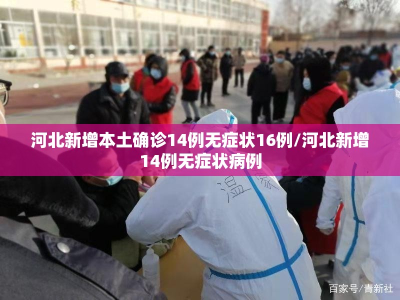 河北新增本土确诊14例无症状16例/河北新增14例无症状病例 河北新增本土确诊14例无症状16例/河北新增14例无症状病例