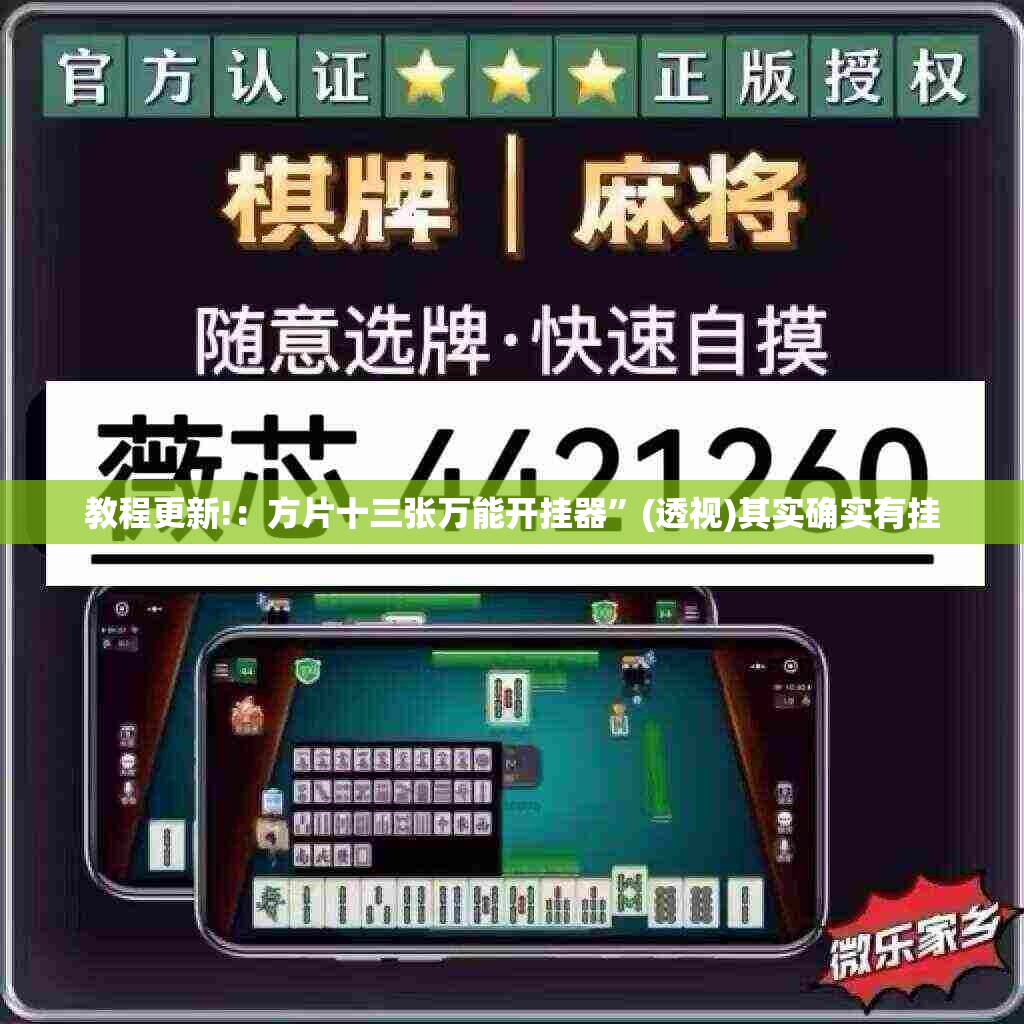 教程更新!：方片十三张万能开挂器”(透视)其实确实有挂