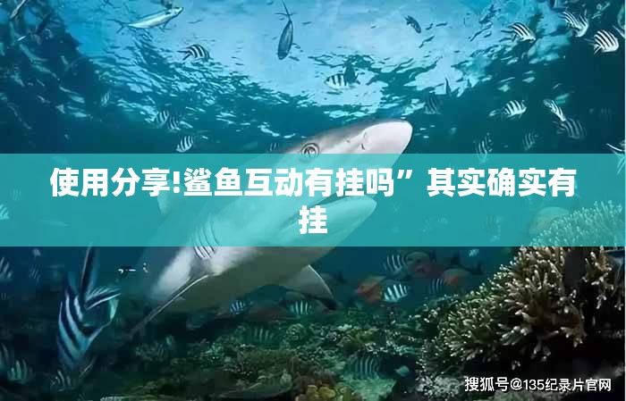 使用分享!鲨鱼互动有挂吗	”其实确实有挂