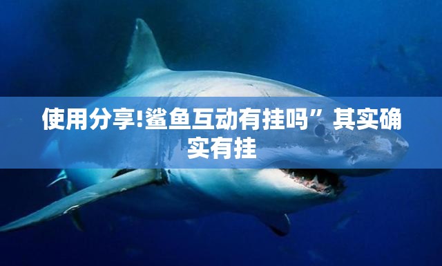 使用分享!鲨鱼互动有挂吗”其实确实有挂