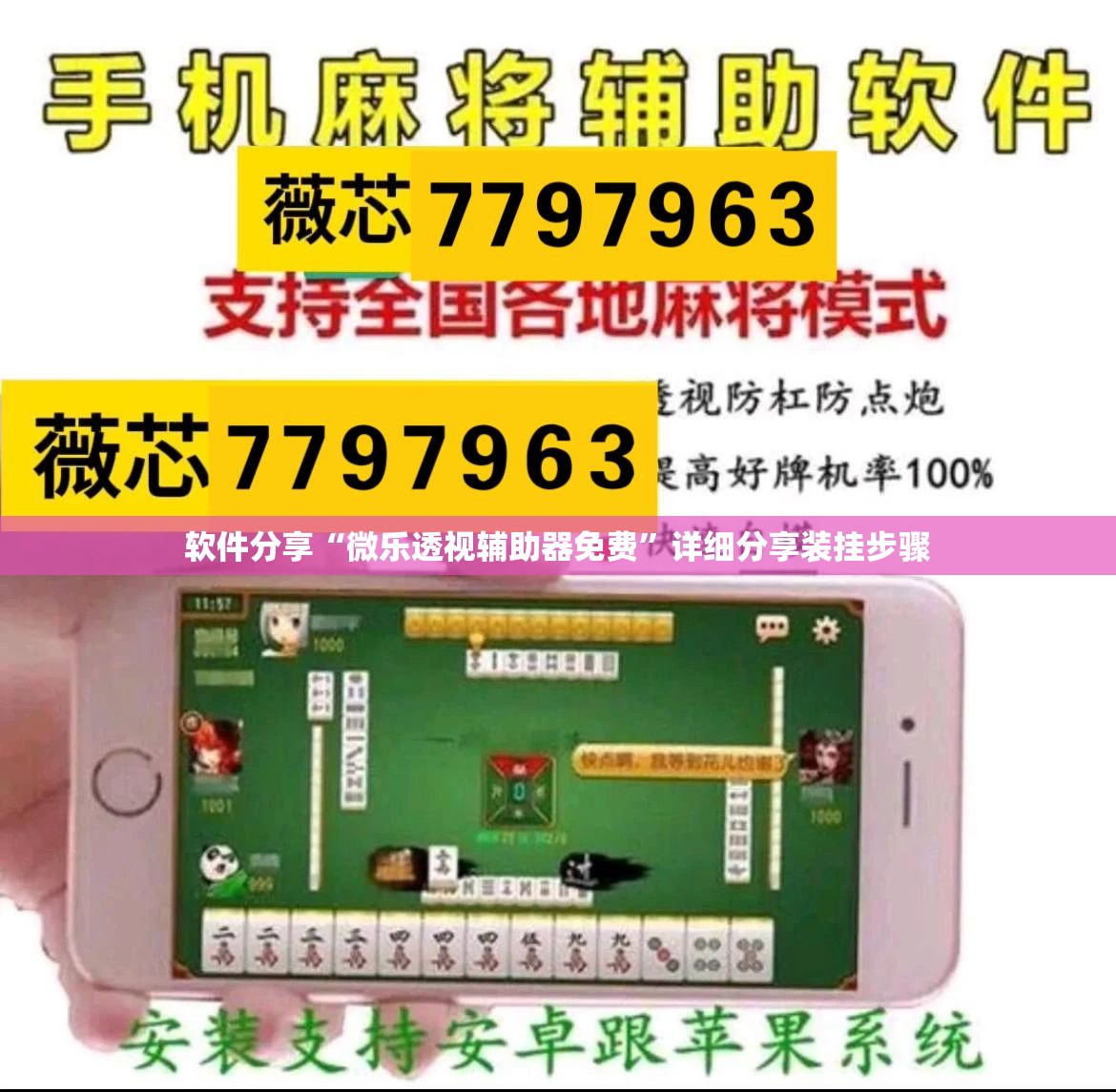 软件分享“微乐透视辅助器免费”详细分享装挂步骤