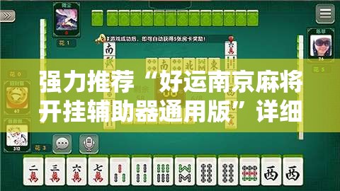 强力推荐“好运南京麻将开挂辅助器通用版”详细分享装挂步骤