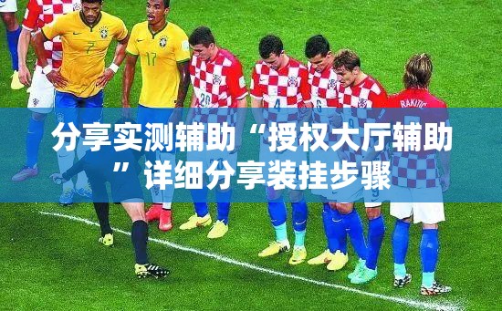 分享实测辅助“授权大厅辅助	”详细分享装挂步骤