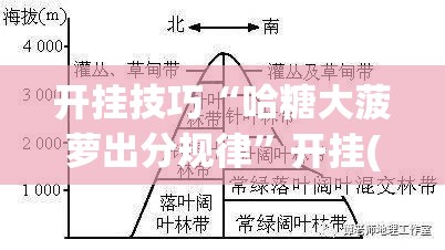 开挂技巧“哈糖大菠萝出分规律	”开挂(透视)最新辅助详细