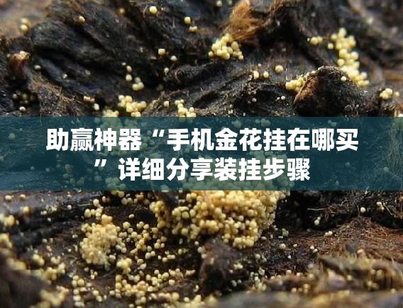 助赢神器“手机金花挂在哪买”详细分享装挂步骤