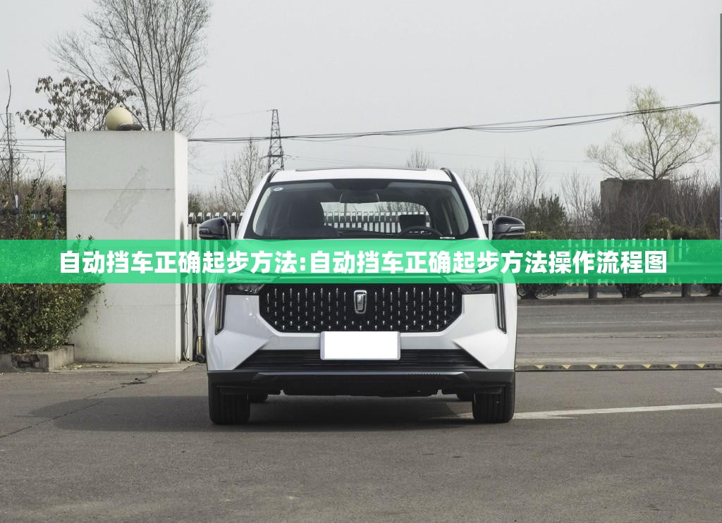 自动挡车正确起步方法:自动挡车正确起步方法操作流程图 自动挡车正确起步方法:自动挡车正确起步方法操作流程图