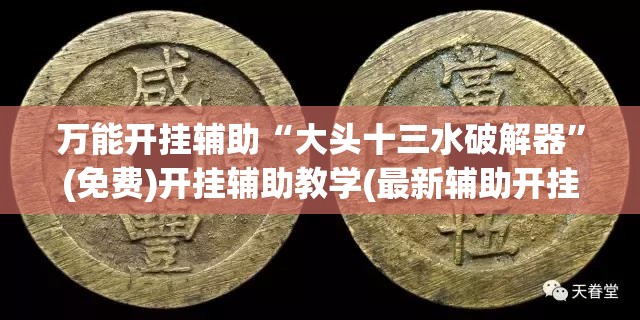 万能开挂辅助“大头十三水破解器”(免费)开挂辅助教学(最新辅助开挂教程)