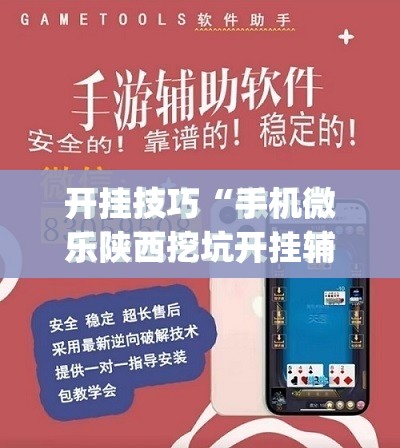 开挂技巧“手机微乐陕西挖坑开挂辅助器通用版”开挂(透视)最新辅助详细