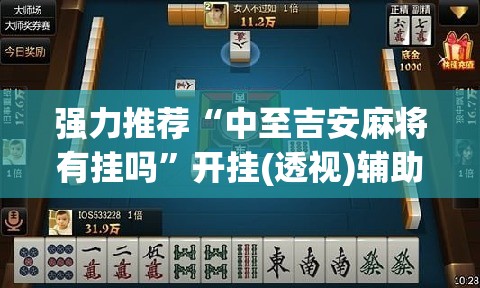 强力推荐“中至吉安麻将有挂吗”开挂(透视)辅助教程
