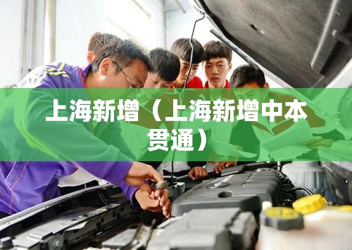 上海新增(上海新增中本贯通) 上海新增(上海新增中本贯通)