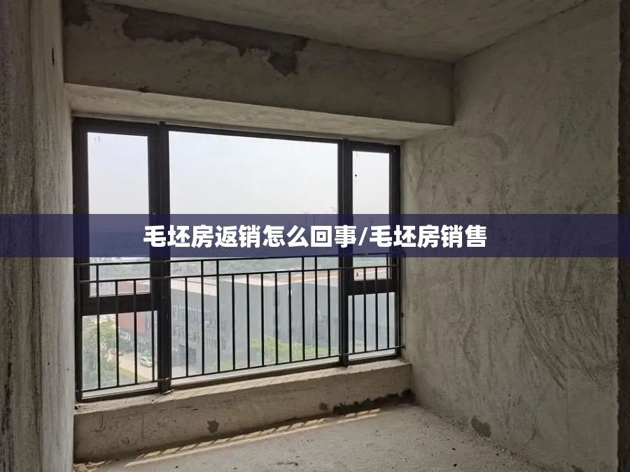 毛坯房返销怎么回事/毛坯房销售 毛坯房返销怎么回事/毛坯房销售