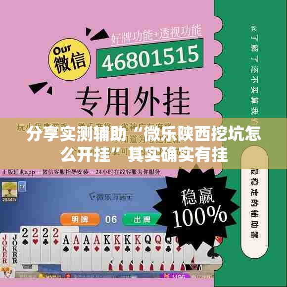 分享实测辅助“微乐陕西挖坑怎么开挂”其实确实有挂