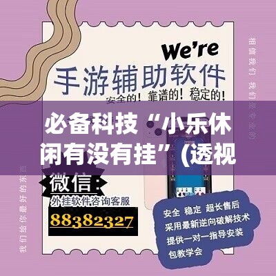 必备科技“小乐休闲有没有挂”(透视挂)辅助下载教程