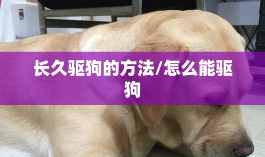 长久驱狗的方法/怎么能驱狗 长久驱狗的方法/怎么能驱狗