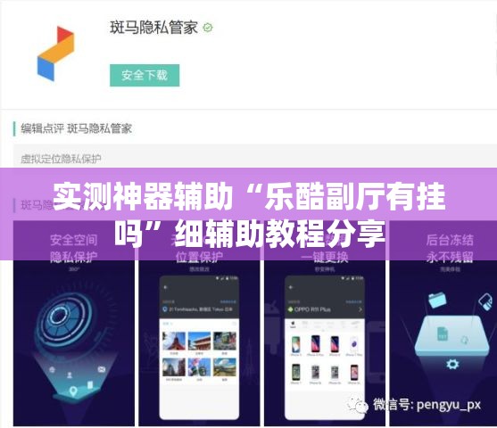实测神器辅助“乐酷副厅有挂吗	”细辅助教程分享
