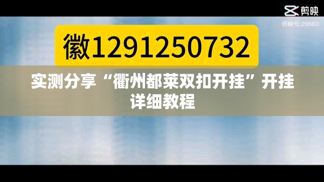 实测分享“衢州都莱双扣开挂”开挂详细教程